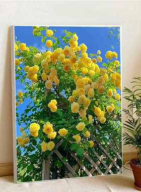 钻石画高颜值新款满钻黄色蔷薇花手工粘钻简约十字绣客厅卧室花卉