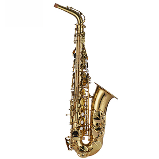 降E调中音萨克斯管乐器初学者专业演奏考级成人学生入门精选推荐