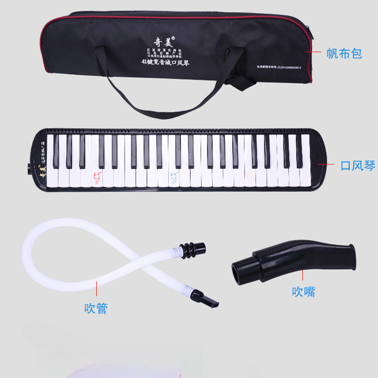 41键宽音域口风琴初学者学生学校初学都教学专业演奏课堂自学简单
