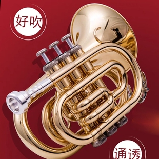 小号乐器降B调三音小号迷你手掌号 初学演奏考级乐队教学西洋
