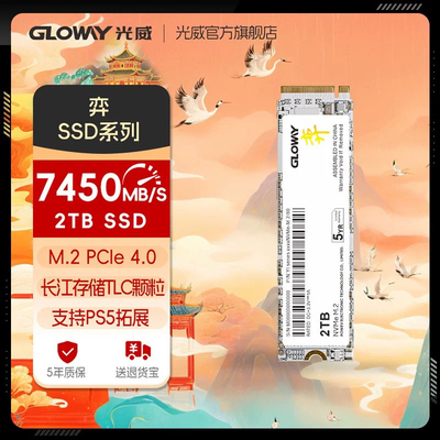 TLC颗粒NVMe接口全新盒装未拆封