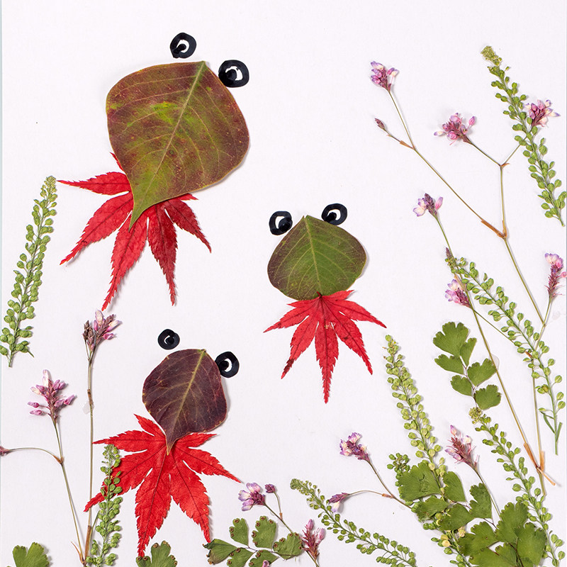 好玩的树叶贴画材料包儿童手工贴真树叶画粘贴画标本diy幼儿园