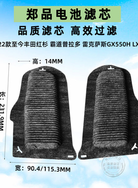 适配丰田红杉霸道普拉多雷克萨斯GX550H电池滤芯LX700H混动版双擎