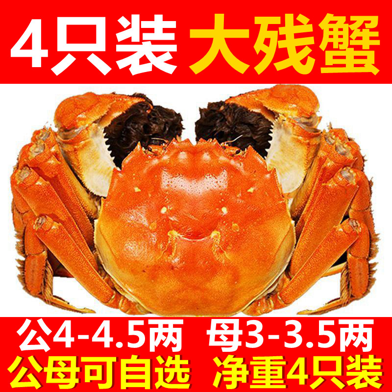 【4只装】自养固城湖5-3两鲜活大闸蟹残蟹掉脚蟹螃蟹水产生鲜