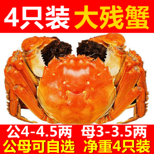 【4只装】自养固城湖5-3两鲜活大闸蟹残蟹掉脚蟹螃蟹水产生鲜
