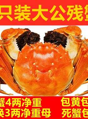 【8只大公残蟹】固城湖大闸蟹公蟹净重4两大闸残蟹掉脚蟹水产生鲜