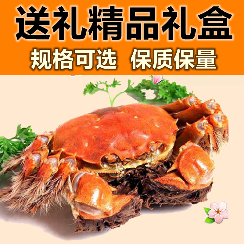 套餐8只精品礼盒大闸蟹