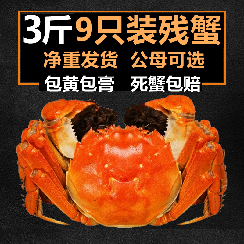 【净重3斤】自养固城湖鲜活大闸蟹公3.8-3.5 母2.8-2.5残蟹断脚蟹,水产肉类/新鲜蔬果/熟食,大闸蟹,淘宝优惠券,粉丝福利购,淘宝优惠卷