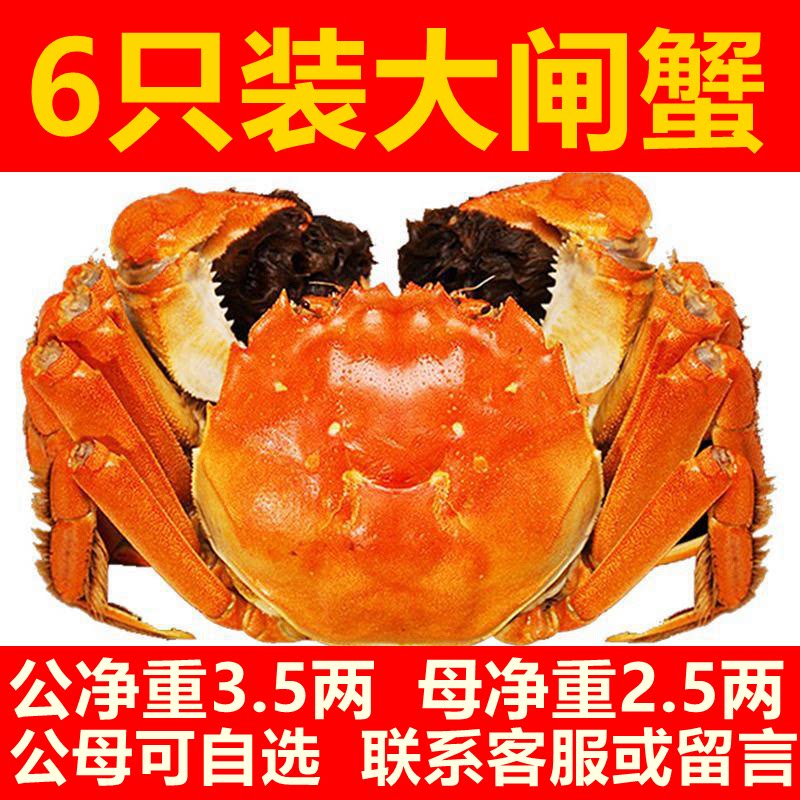 6只固城湖大闸蟹3.5两公蟹 2.5两母蟹活蟹生鲜水产公母可选