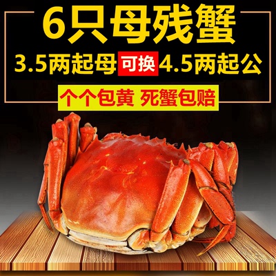 自己养殖，塘口直接货