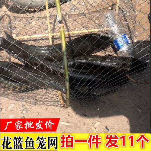 花篮鱼笼蓝捕折叠量大从优
