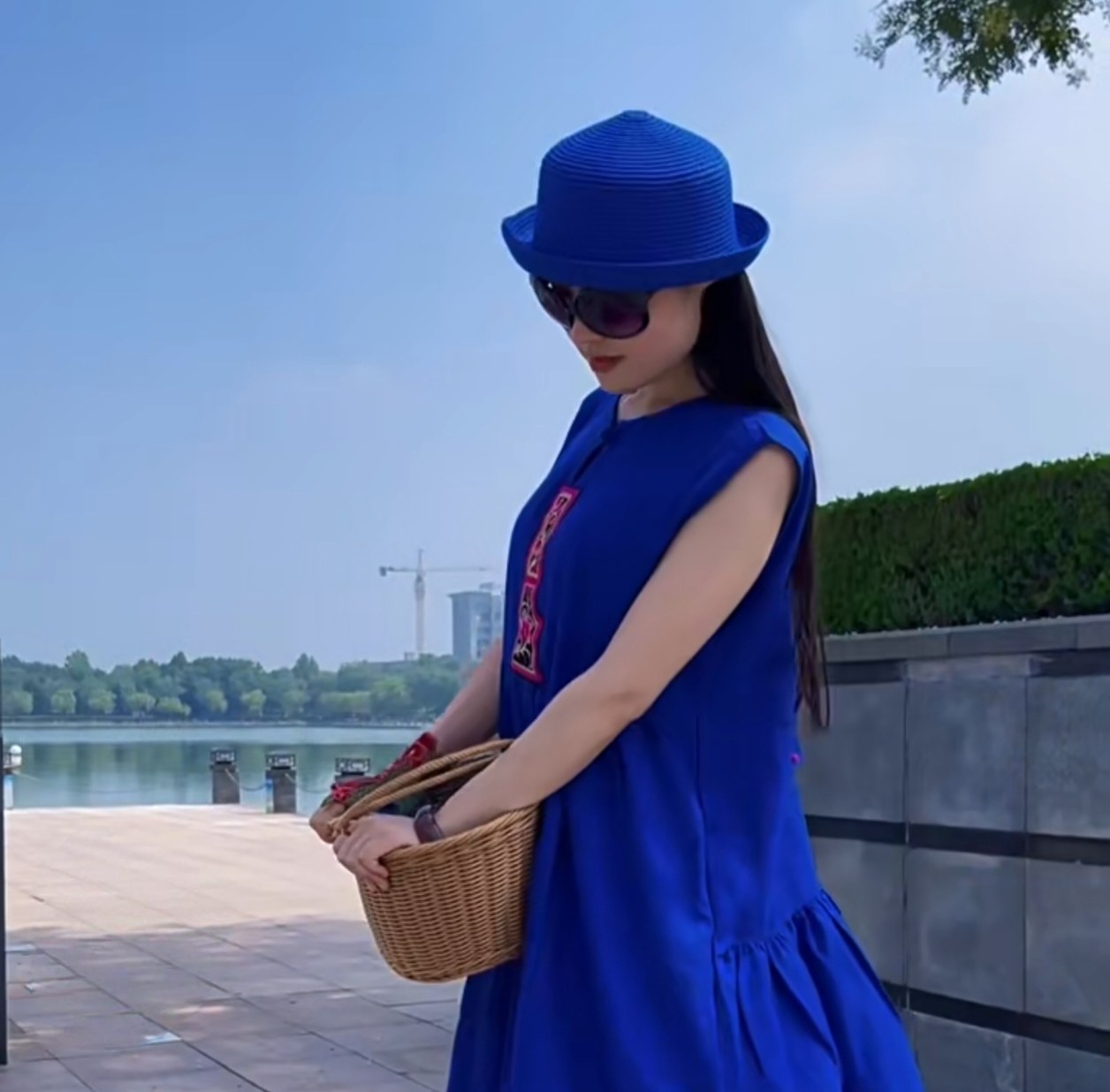 杨丽萍同款原创复古民族风女装刺绣连衣裙A字裙夏女中国风长袖无