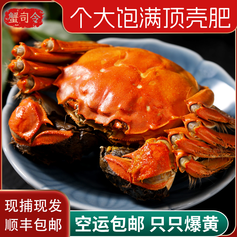 母4.0两/公6.0两大闸蟹特大