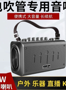 CallVi扩威W8电吹管乐器音响k歌音响广场舞教学无线麦克风便携式