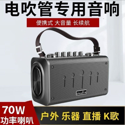 CallVi扩威W8电吹管乐器音响k歌音响广场舞教学无线麦克风便携式