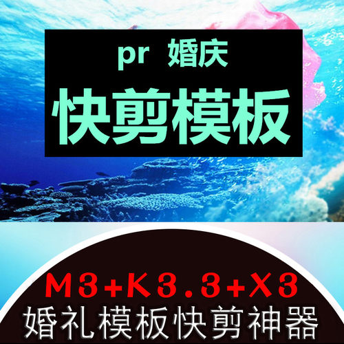婚礼快剪神器PR模版K3.3＋M3＋X3 PR婚礼开场视频片头