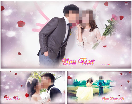 87edius唯美浪漫玫瑰花瓣爱心婚庆生日情人节婚宴婚礼ed模板