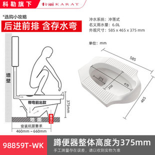 科勒卡丽蹲便器蹲坑含存水弯防臭防滑大便器后进前排式98859T-WK