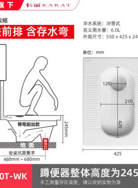 科勒卡丽蹲便器蹲坑陶瓷家用蹲厕便池大便器水箱套装31630T-WK