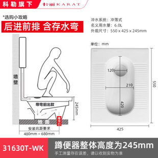 科勒卡丽蹲便器蹲坑陶瓷家用蹲厕便池大便器水箱套装 31630T