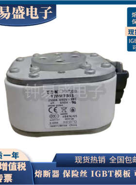 美国BUSSMANN熔断器170M7802 170M7803 170M7804 170M7217全新