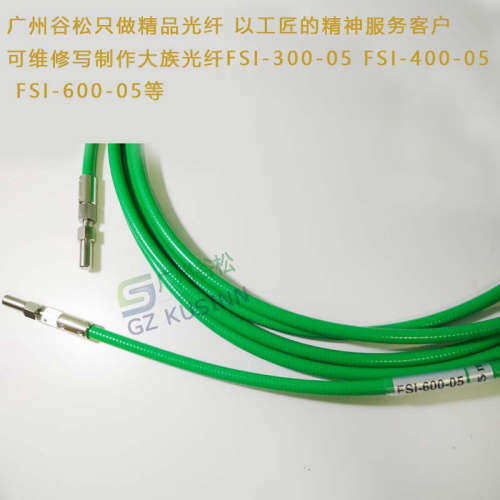 SI600-5光纤跳线 激光传能光纤激光能量光纤 High power fiber