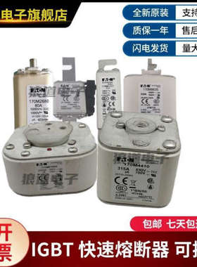 原装正品型号齐全现货170M6566 170M6567 170M6568巴斯曼熔断器