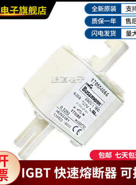 巴斯曼170M4065 170M4066 170M4067 170M4068 170M4069 熔断器