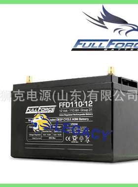 美国FULLFORCE蓄电池FF31/FF0110-12、FF27/FFD105-12免维护电瓶
