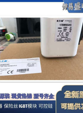 美国BUSSMANN熔断器170M6562  170M6563  170M6564  170M6565