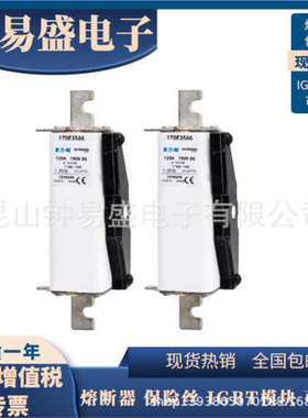 美国Bussmann熔断器170E3585 170E3586 170E3587