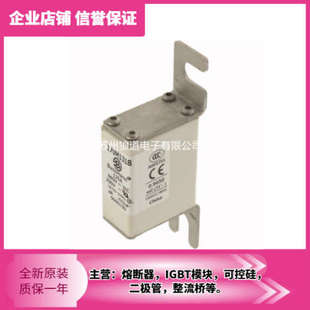 170M1321 170M1320 巴斯曼熔断器170M1318 170M1319