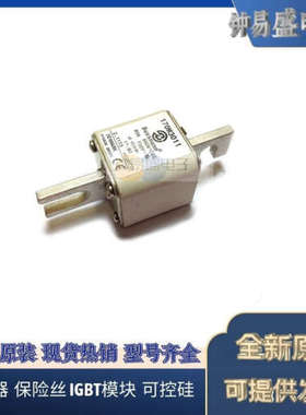 美国BUSSMANN熔断器170M3108  170M3109  170M3110  170M3111