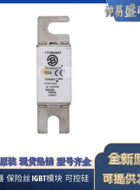 美国BUSSMANN熔断器170M4746  170M4747全新原装现货