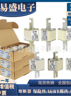 巴斯曼Bussmann熔断器690V 1000A     170M5116 170M5266