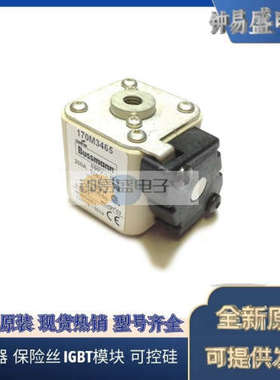 美国BUSSMANN熔断器170M3272  170M3273  170M3308  170M3309