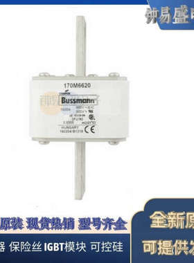 美国BUSSMANN熔断器170M6803 170M6785 170M6786 170M6787
