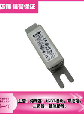 低压熔断器保险丝170M1358 1359 1360 1361 1362 1363 1364 1365