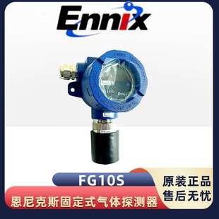 恩尼克思固定式 FG10S探测器可燃氧气一氧化碳硫化氢气体探测器