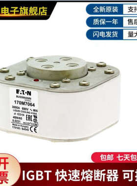 美国伊顿巴斯曼熔断器 170M7100  170M7101  170M7102  170M7103