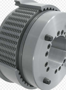 Ortlinghaus 0-422-101-25-000-300 制动器 旋转法兰