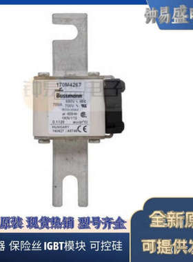 美国BUSSMANN熔断器170M5442  170M5443  170M5444  170M5445全新