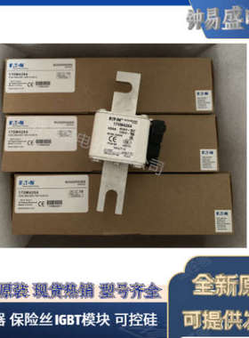 美国BUSSMANN熔断器  170M4011 170M4012 170M4013  巴斯曼熔断器