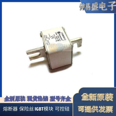 美国BUSSMANN熔断器170M5766  170M5767  170M5768