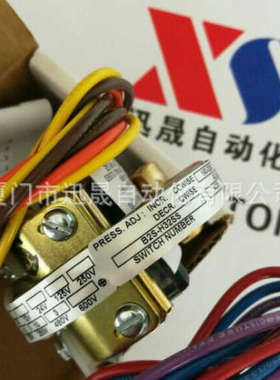 美国巴士德Barksdale流量开关B2S-H32SS 0711-333.6 B2S-H48SS