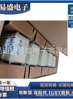 原装巴斯曼熔断器 170M1362 170M1363 170M1364 170M1365 等全新