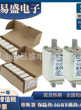 原装巴斯曼熔断器170M2608 170M2609 170M2610 170M2611 现货全新