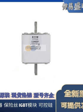 美国BUSSMANN熔断器170M6644  170M6645  170M6646  170M6647