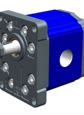 代理德国VIVOLO液压泵X2P5301EPOA价格优势，货期短