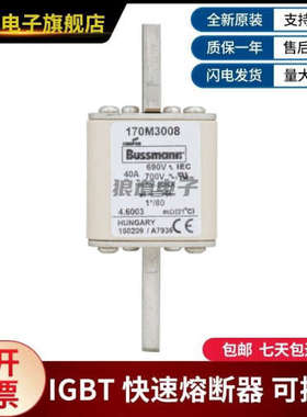 供应全新现货170M3008 170M3009 170M3010 170M3011巴斯曼熔断器